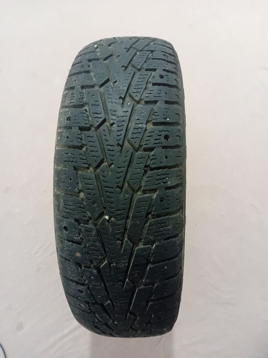 Донгелек сатылады кыстык