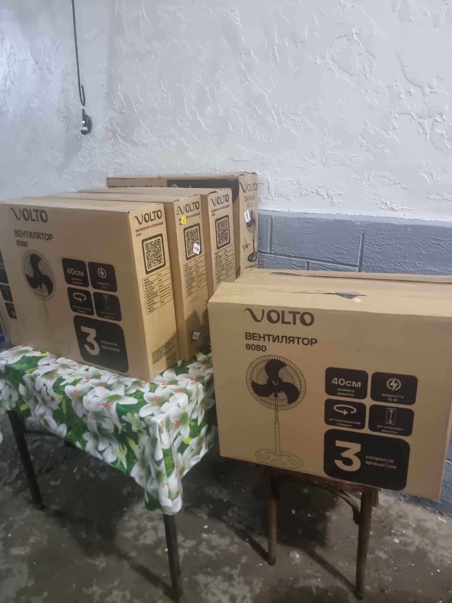 Volto vintilator