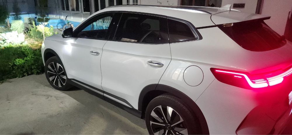 Byd chimpion 2024 yil arenda