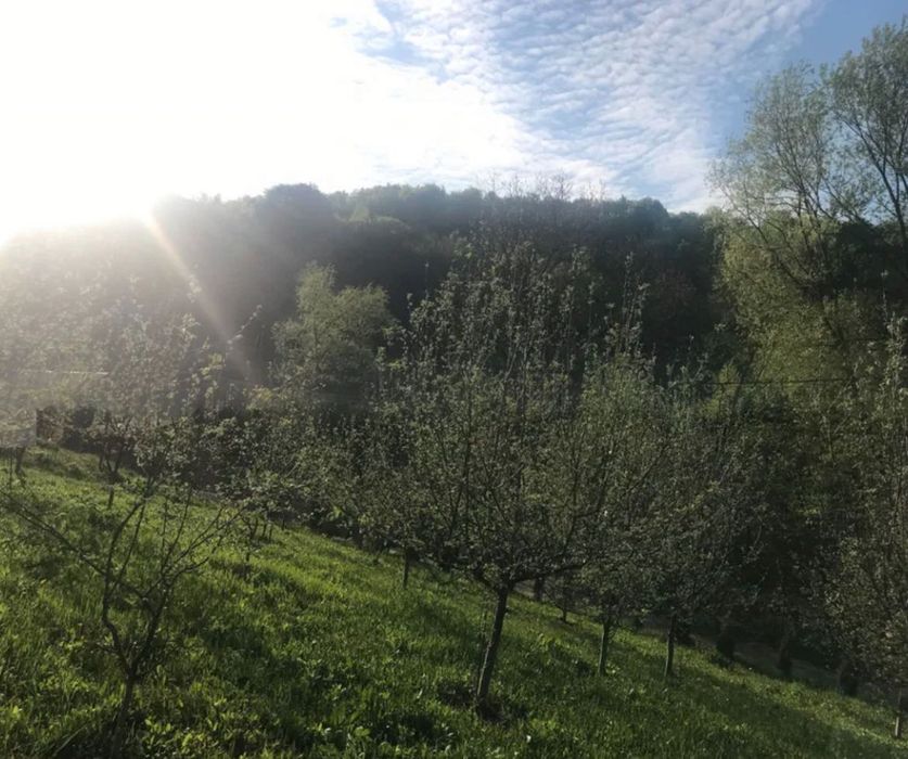 Vand casa zona deal-munte