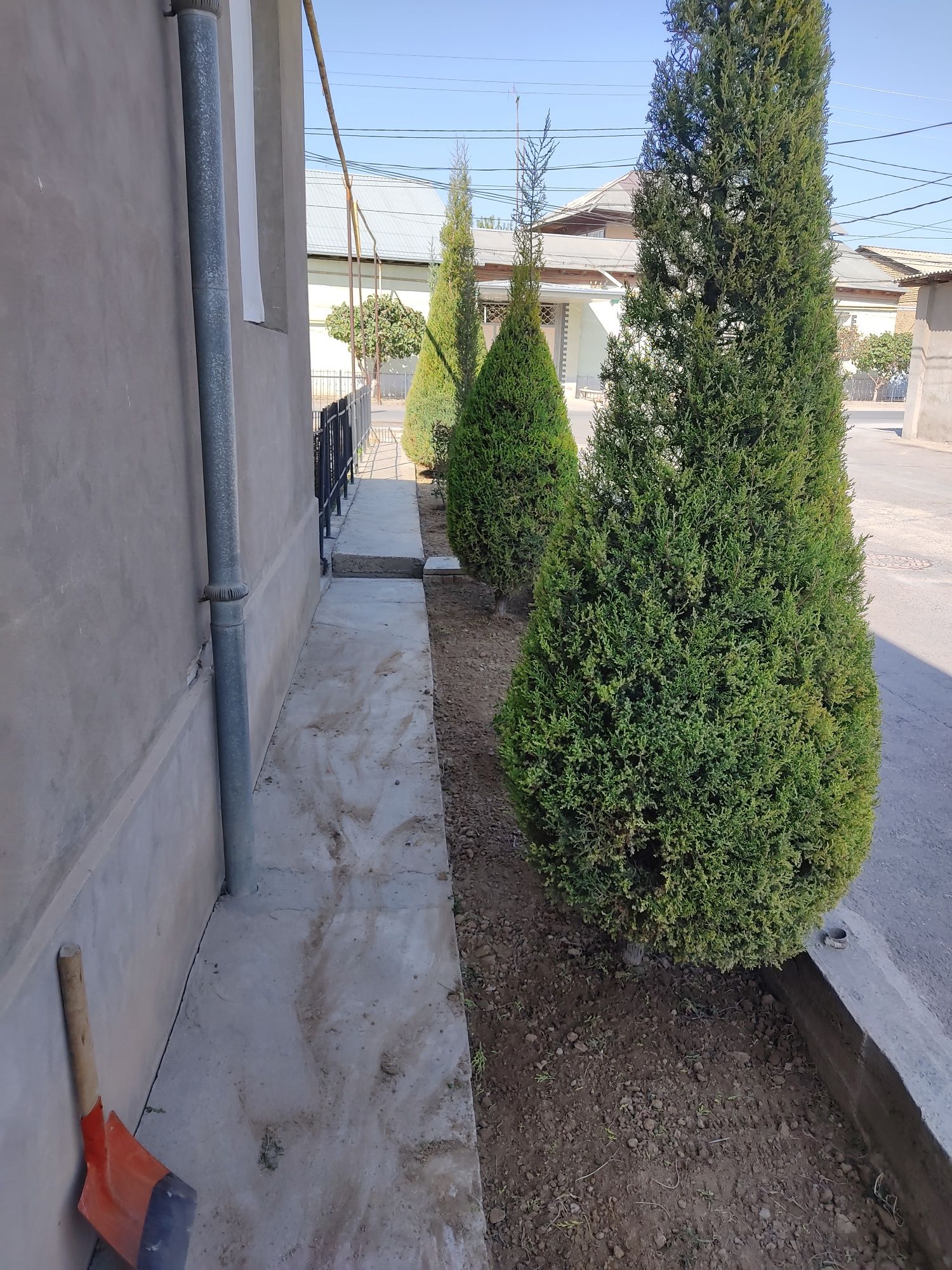 Archalar ekish dorilash kesish xizmati
