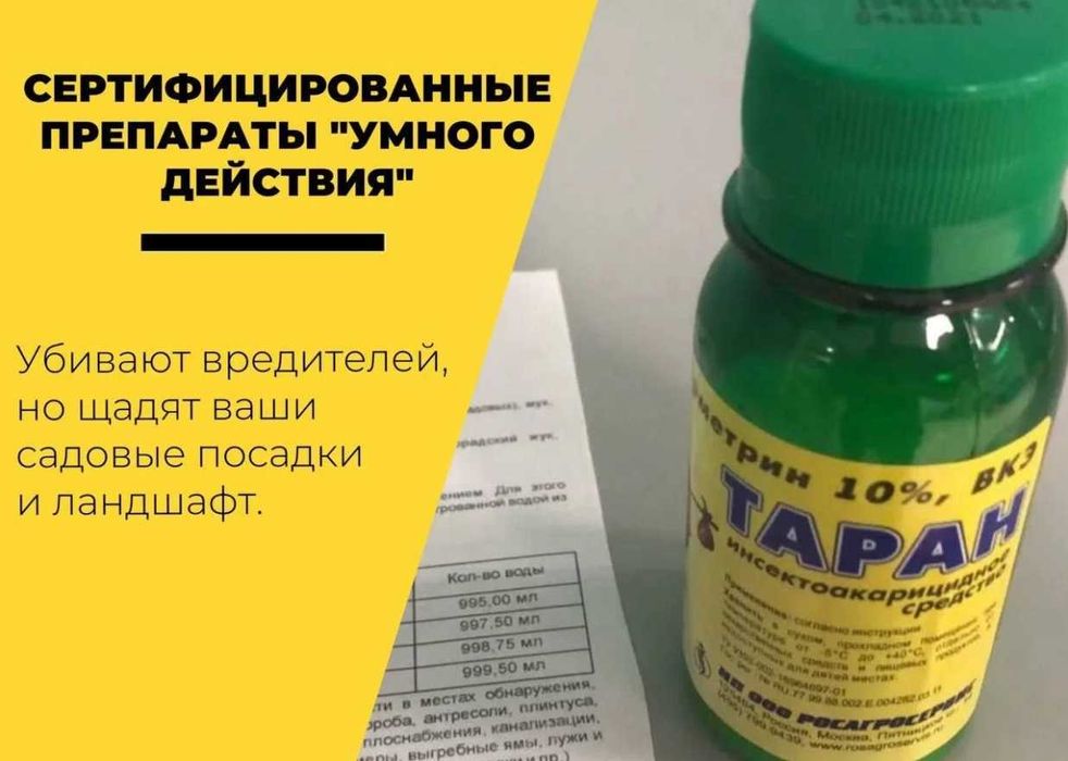 Dezinfeksiya: уничтожение насекомых, грызунов, змей и запахов