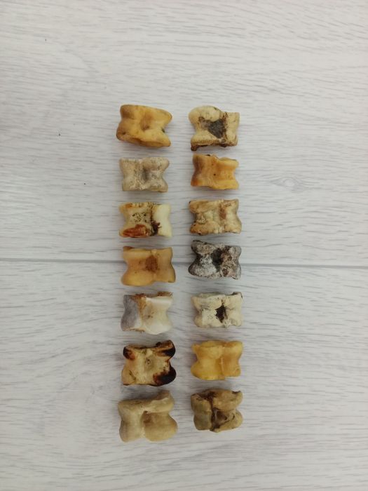 Продам натуральный асык.