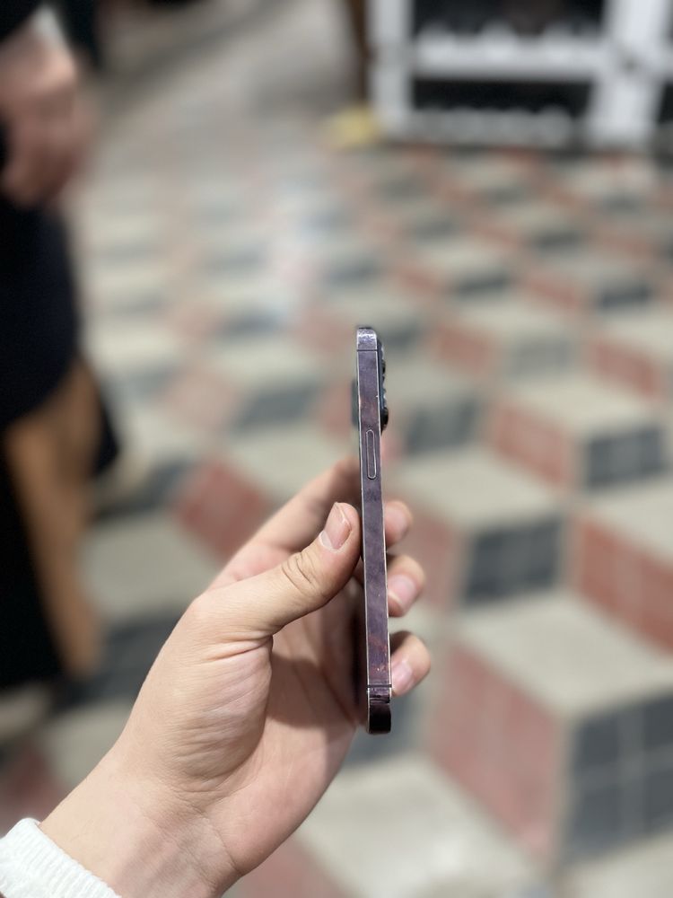 Iphone 14 pro dual
