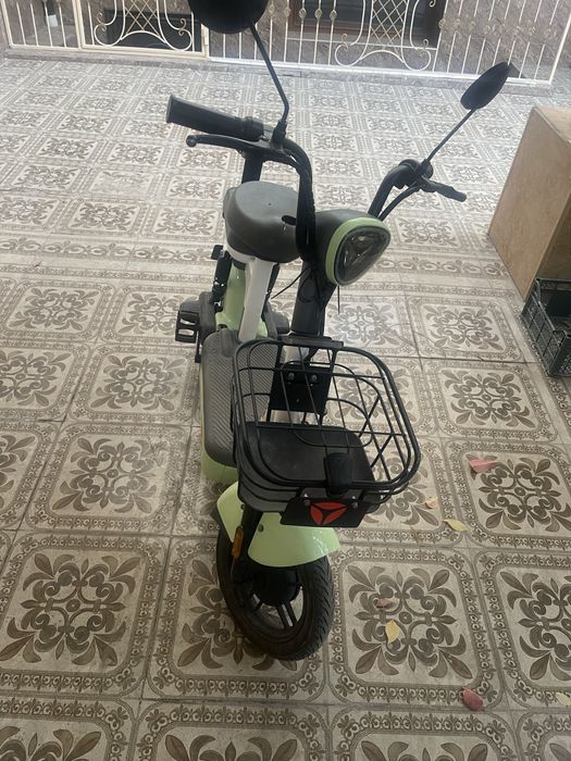 Elektra squter sotiladi