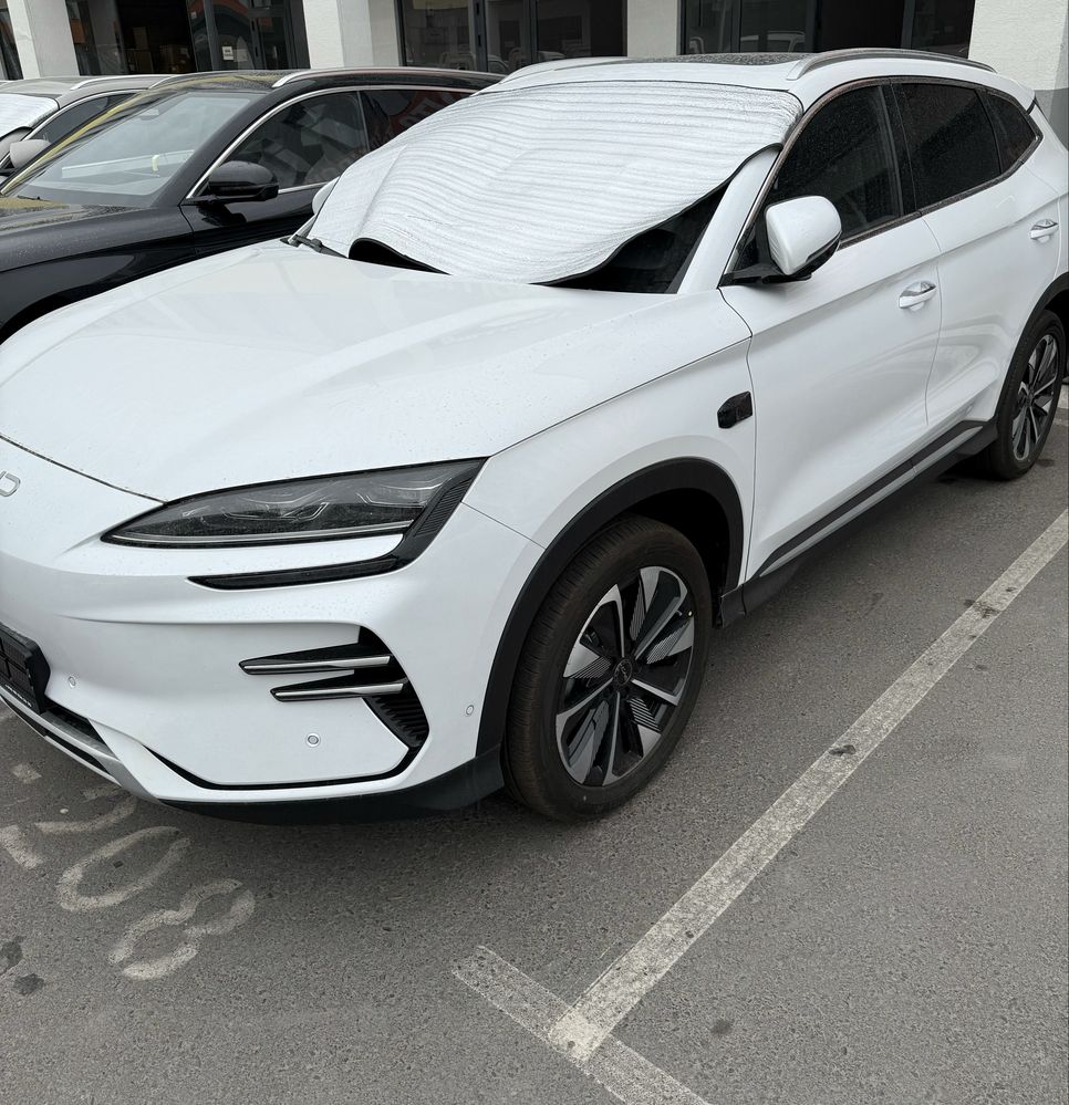 Byd champion smart