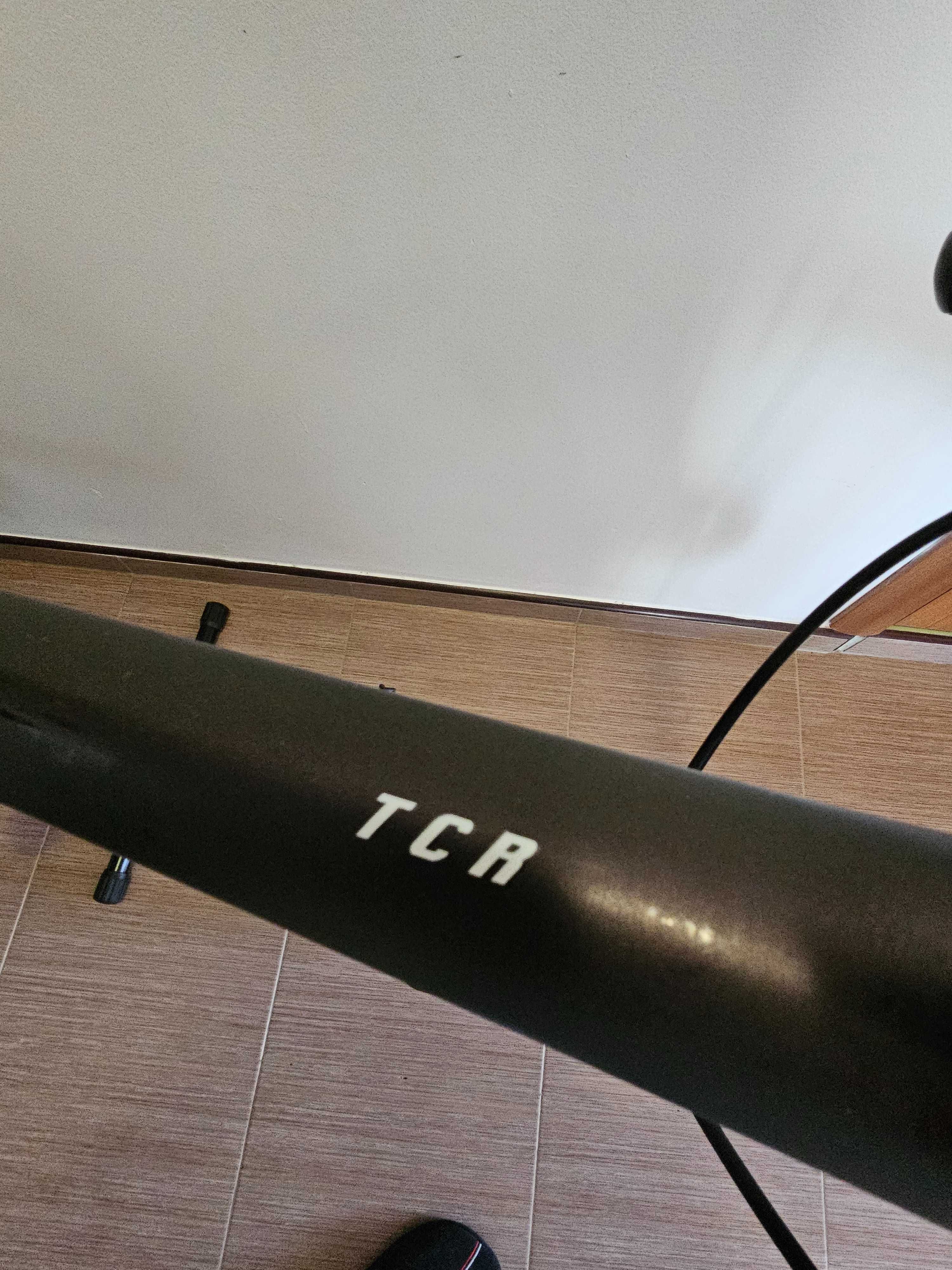 Giant TCR Pro1 Disc carbon 56- dual power meter