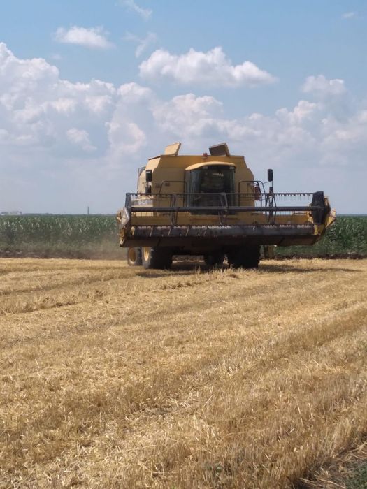 Combina New Holland TX68