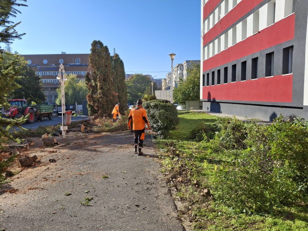 Defrișări/Tăieri Arbori/Cosit Vegetație/Tuns Gard Viu/Rapid