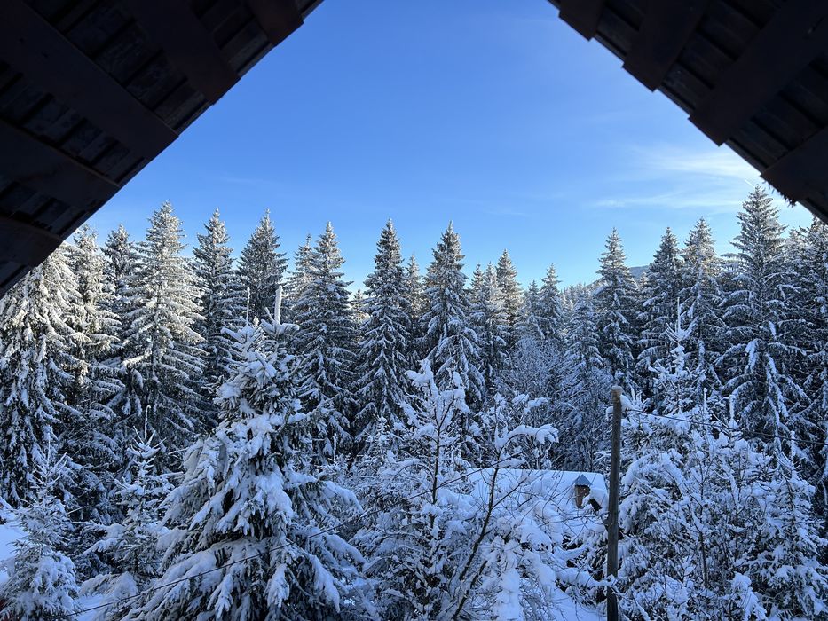 Inchiriez cabana de revelion, minim 3 nopti, locatie Campu lui Neag HD