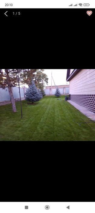 Обрезка плодовых деревьев уборка