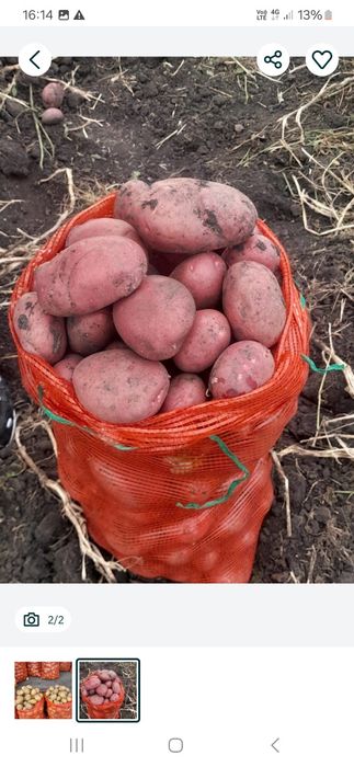 Продам картошку домашние есть доставка
