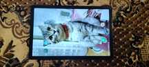 Samsung Galaxy Tab A8