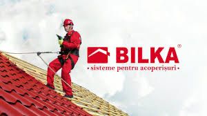 Acoperisuri complecte vopsitorii