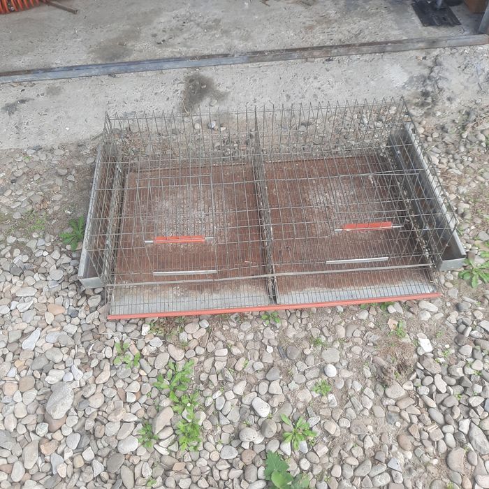 Cușcă 50 prepelite
