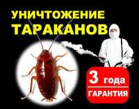 Дизинфекция от тараканов и клопов