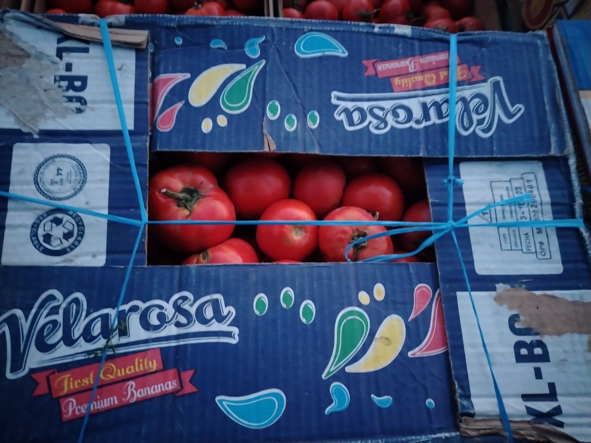Tabiiy toza pomidor optom narxlarda