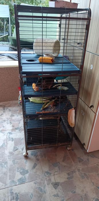 Vând cușcă mare, colivie, voliera pentru peruși, papagali, chinchile,