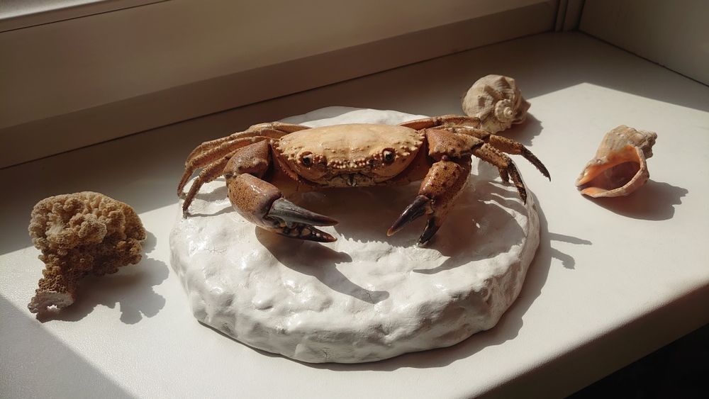 скульптура -сувенир Краб декоративная композиция