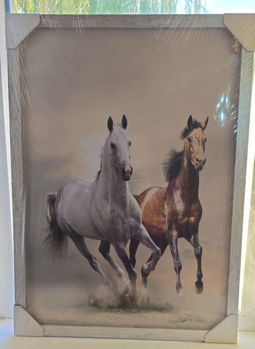 Продам картины лошади