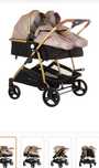 Carut Chipolino  2in1  Duo smart