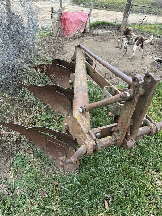 Vand Plug romanesc pp3