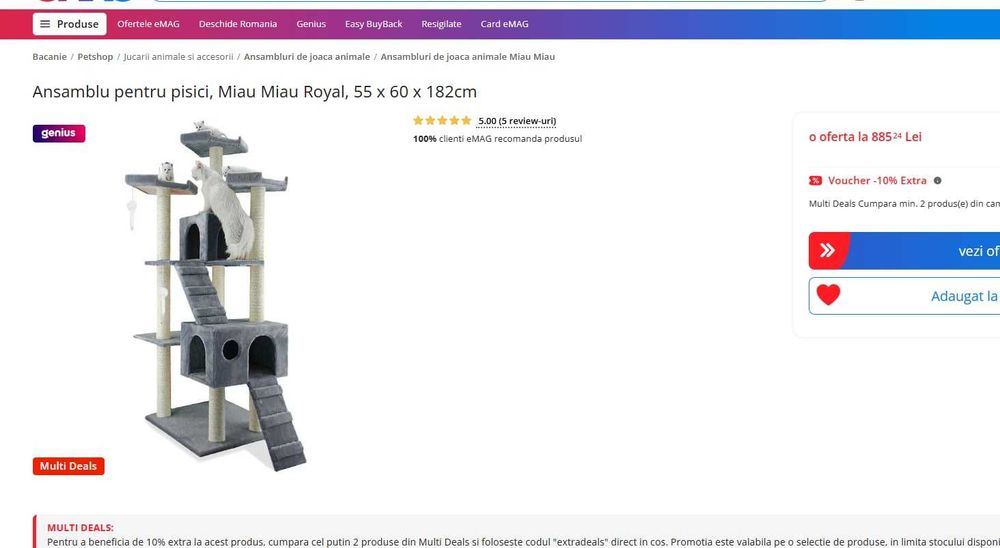 Vand ansamblu pisici