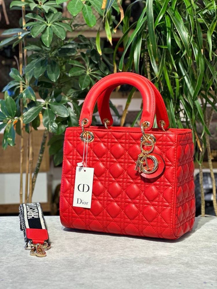 Geanta Dior Noua !!! Dimensiuni 25/20 !!!