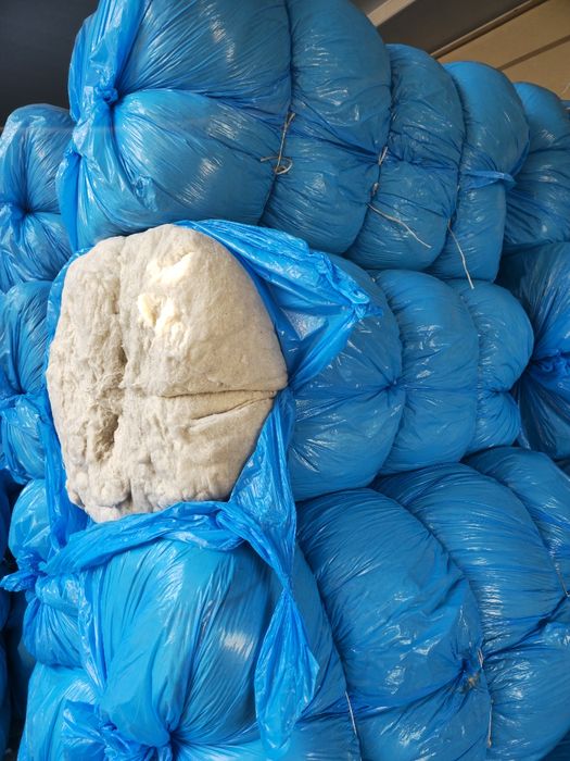 Koʻrpachalar uchun prislanmagan PAXTA Optum