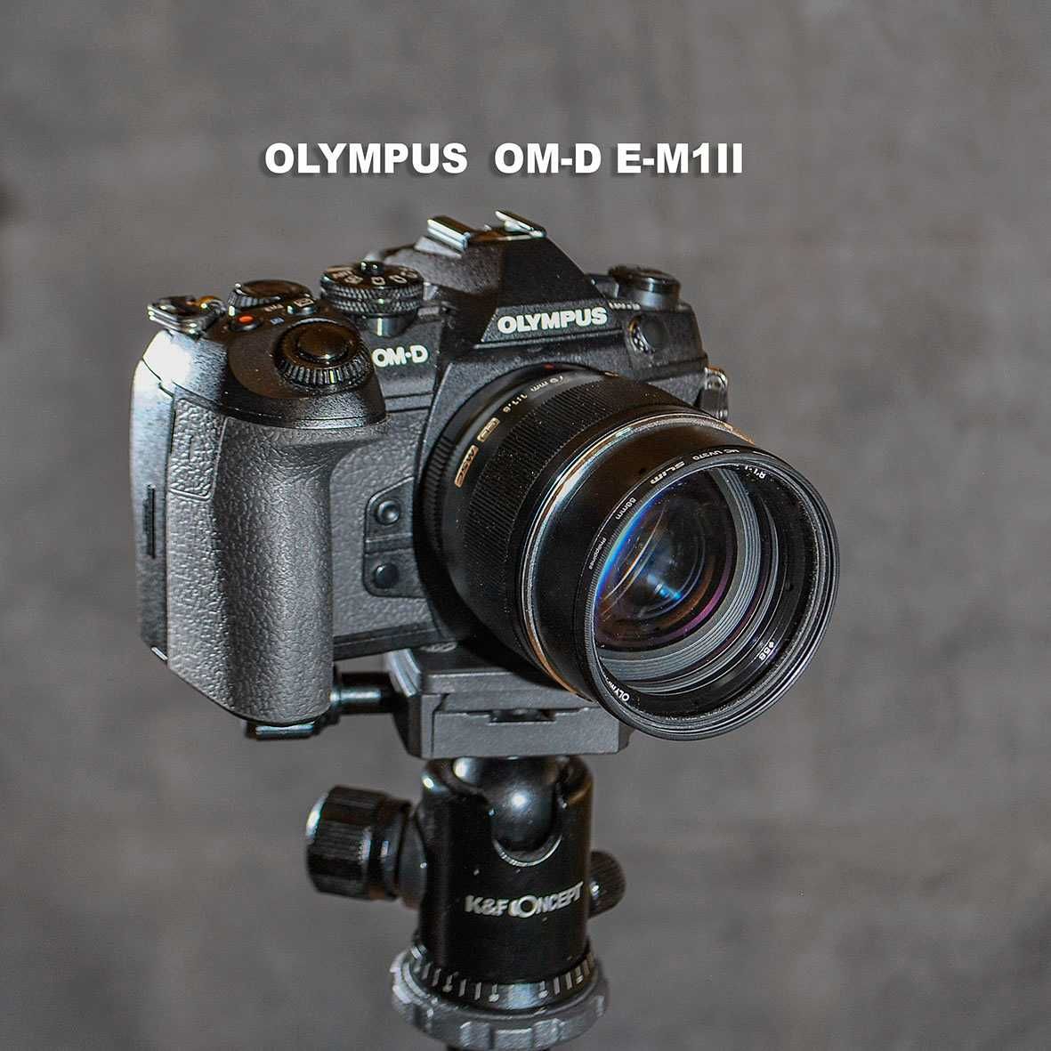 Olympus OM-D E-M1 II