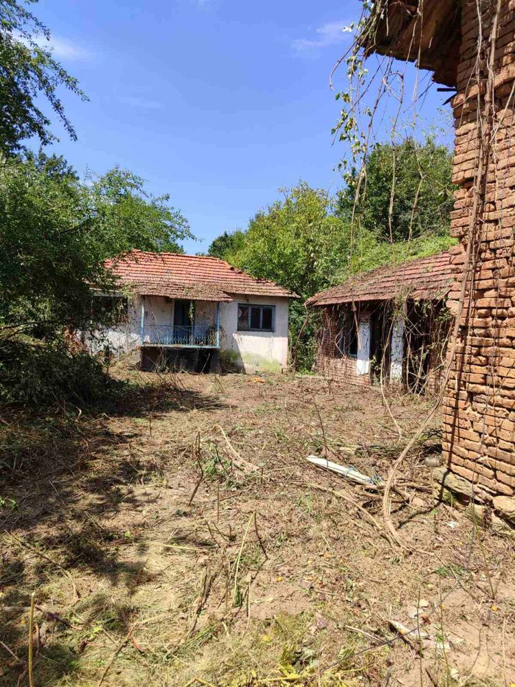 Два съседни парцела в покрайнините на село Сопот