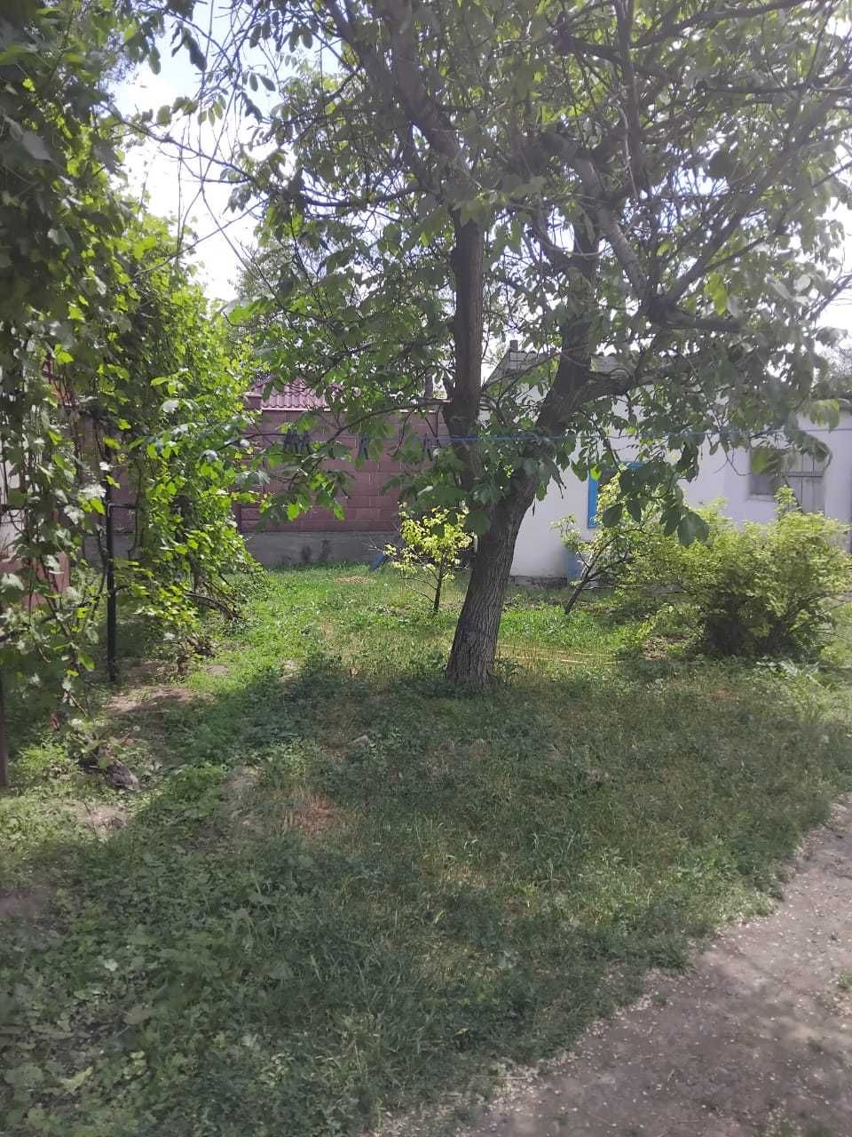 Продается дом в центре с. Толе Би около Акимата