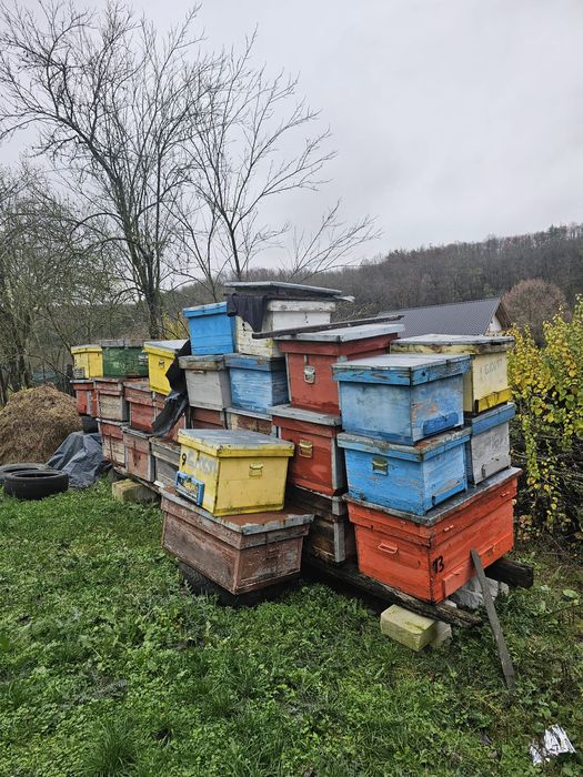 Vand cuti stupi diferite marimi