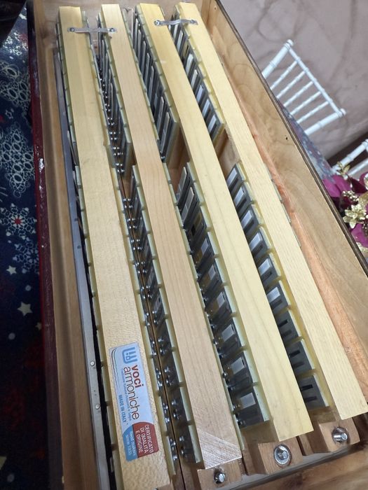 Acordeon Weltmeister vand/schimb