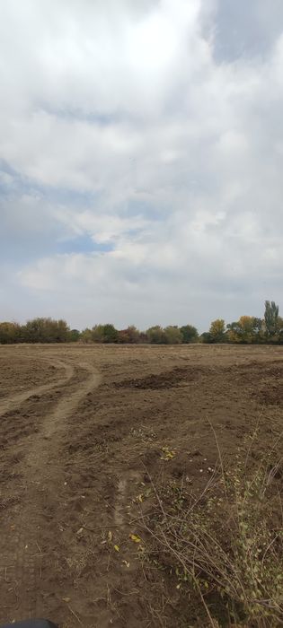 Продам землю 4 га выкупленая