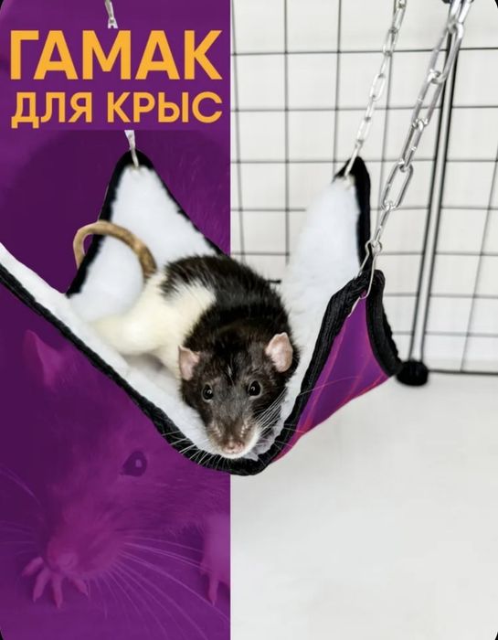 Гамак для грызунов
