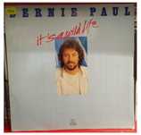 Discuri vinil albume interpreti muzica straina LP