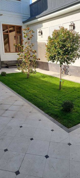 Стрижка газона и елок система полива gazon ekish rulon gazon