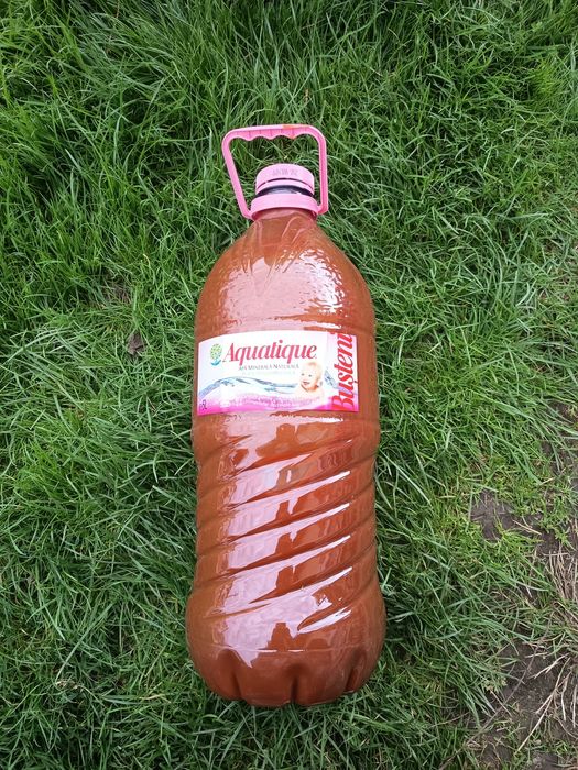 Pastă de măceșe .