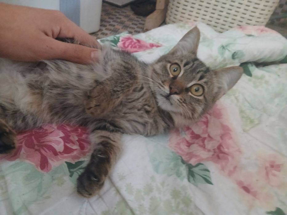 Yaxshi qo'llarga bervoramiz