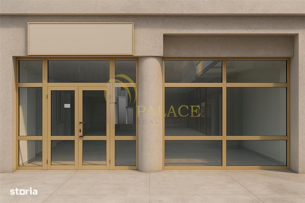 Spatiu Comercial Lapusneanu Gavriil Musicescu