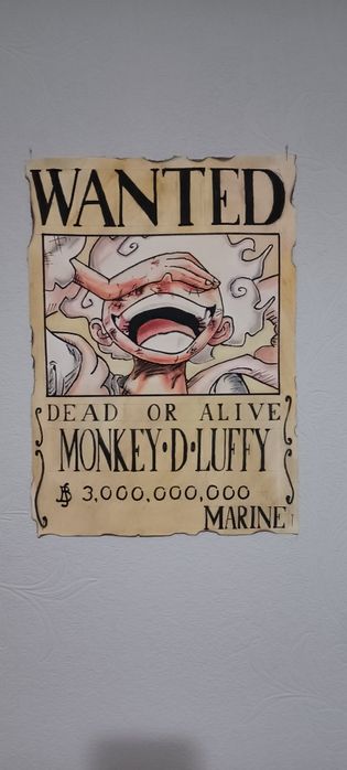 Картина, Награда луффи