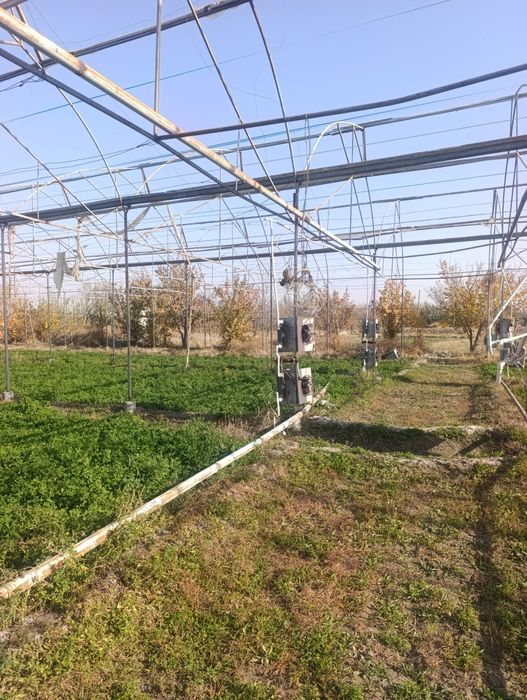 Келишилган холда