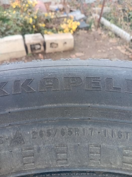 Шина от прадика 50к