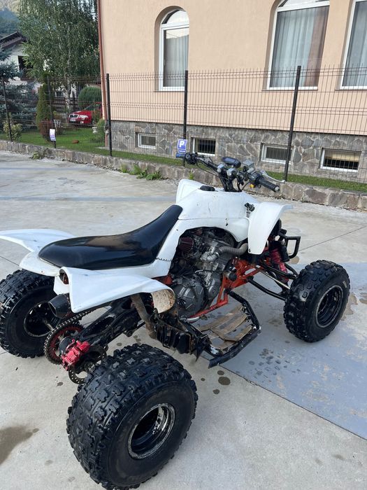 Yfz 450 swap Hornet 600cc