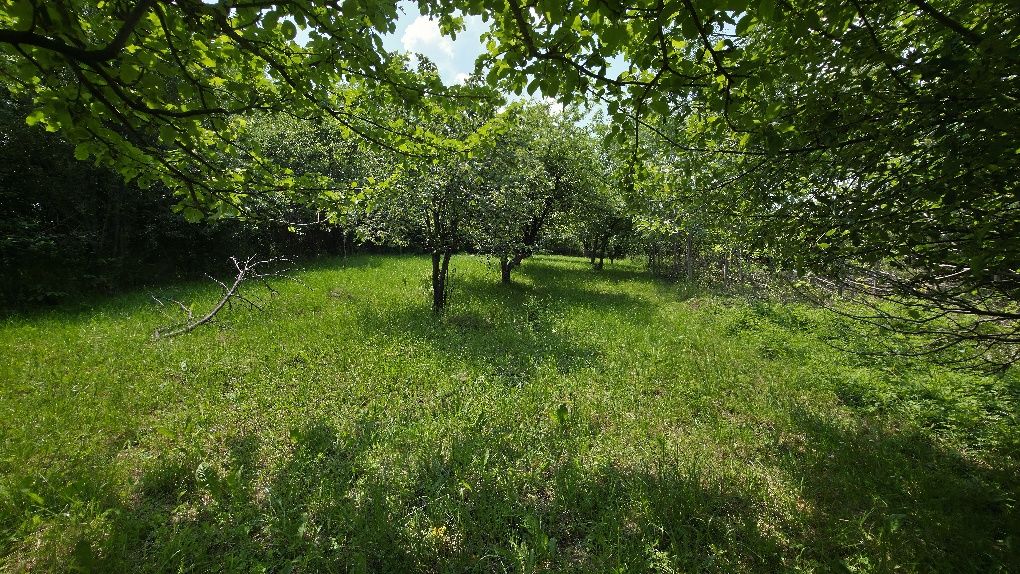Продава се парцел в Кралев дол,  община Перник