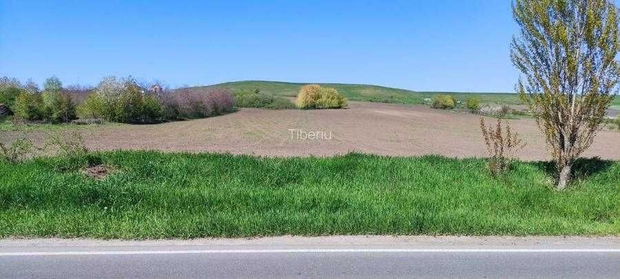 Vând 15000 mp teren