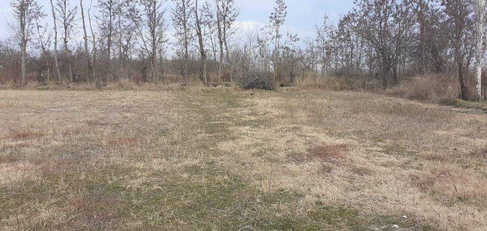 Vand teren intravilan 2600 mp 5 euro/mp