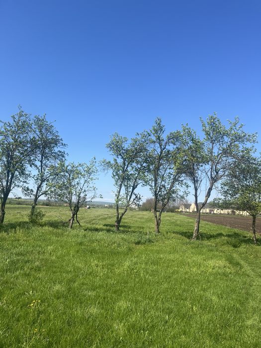 Teren de vânzare – Bonțida, jud. Cluj