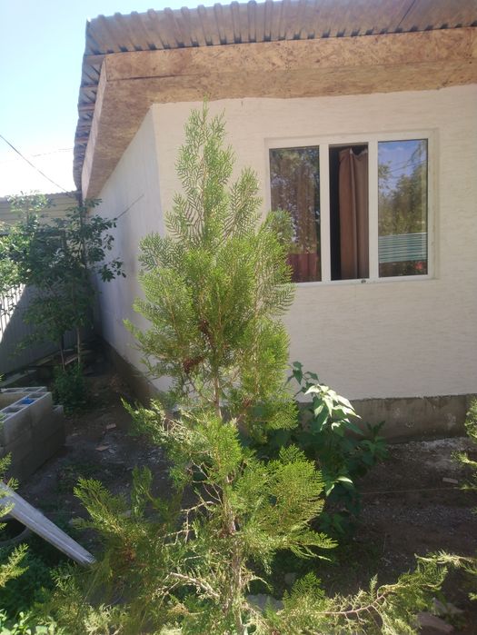 Срочно !!! Продам дом с.Заречное или обмен